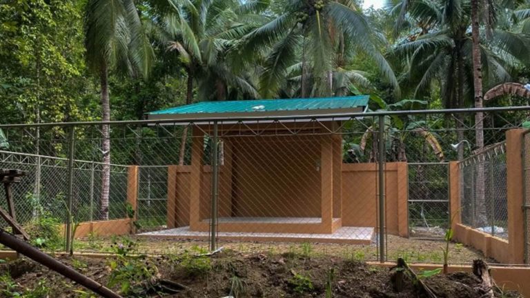 Antique Boosts Conservation Initiative With Wildlife Rescue Center