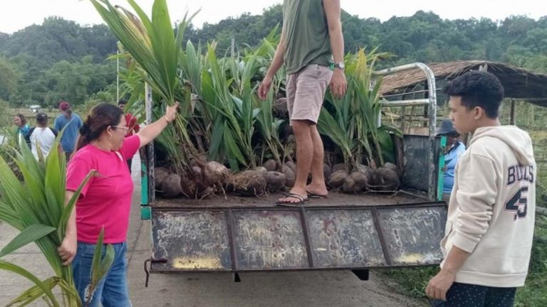 PCA To Complete Coco Seedlings Distribution In Antique In February