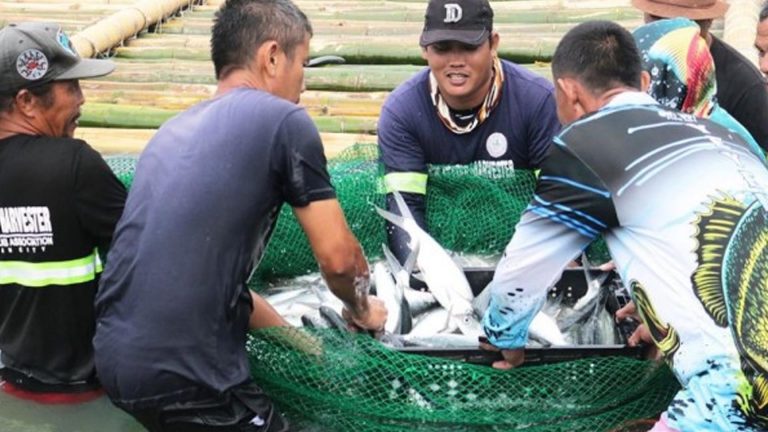 BFAR Project Helps Fishers’ Group Earn PHP1 Million Sales In Cabadbaran City