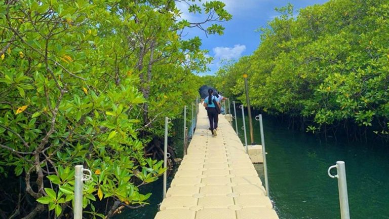 Surigao City Draws Over 250K Tourists In 2025