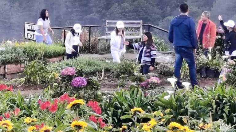 Farm Tourism: Blending Enterprise, Food Security, Culture Preservation
