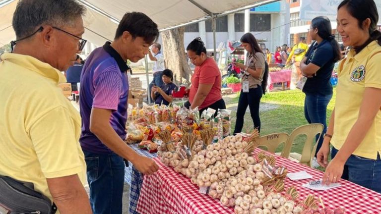 Ilocos Norte Onion Farmers To Benefit From PHP101 Million Cold Storage Project