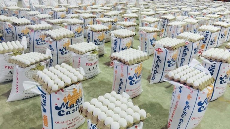 DSWD’s Anti-Hunger Program Adds Over 44K New Beneficiaries In Bicol