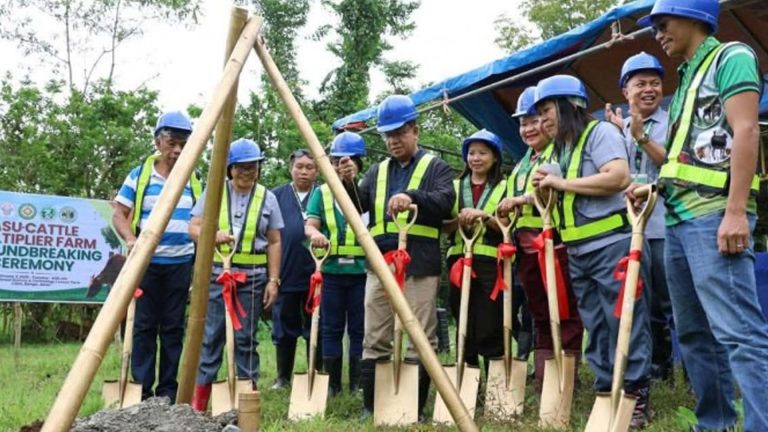 Multiplier Farm To Help Boost Cattle Industry In Western Visayas