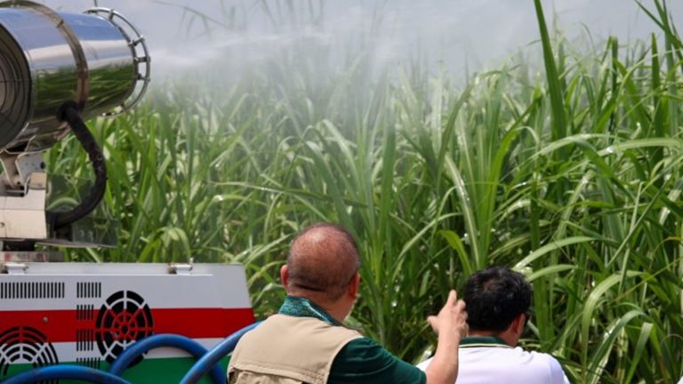 Government, Lawmakers Map Reforms For Sugar Sector
