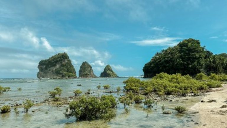 Northern Samar Launches First Major Archaeological Study Since 1960s