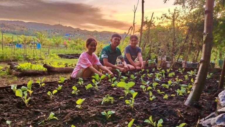 Youth Immersion In Agriculture Gives New Hope To Senior Farmers