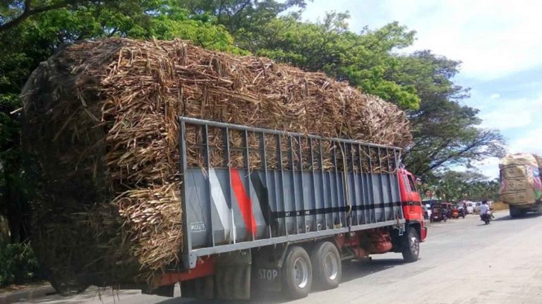 SRA Urges Sugar Mills To Boost Trucking Allowance For Cane Farmers