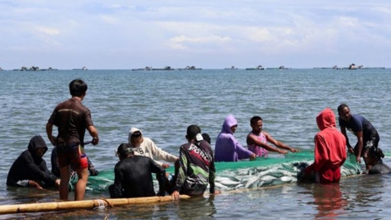 Agusan Del Norte Cooperative Earns PHP1 Million In Bangus Sales