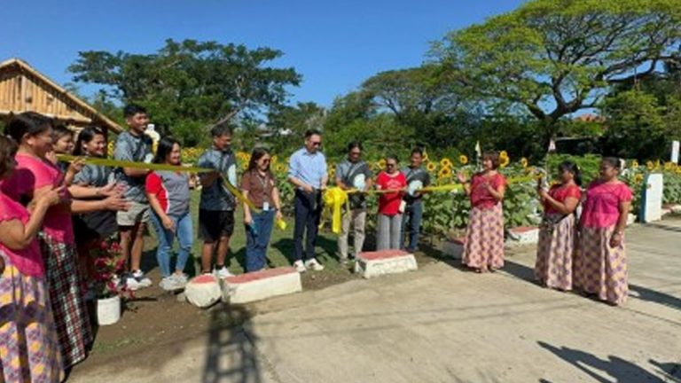 Laoag Village Transforms Idle Lots Into Agro-Tourism Flower Farm
