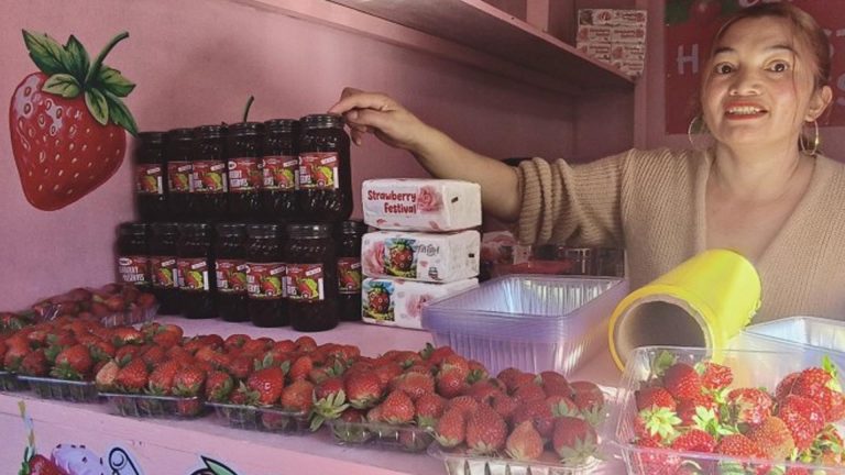 Triplet Cake Sliced Into 10K Pieces To Highlight 2026 Strawberry Fest