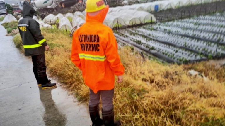 Benguet State University Seeks Conversion Of Strawberry Farm To Ecotourism Hub