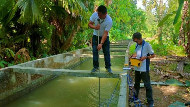 Proactive Irrigation Management Bears Rice Yield Amid Dry Spell In Davao Del Sur