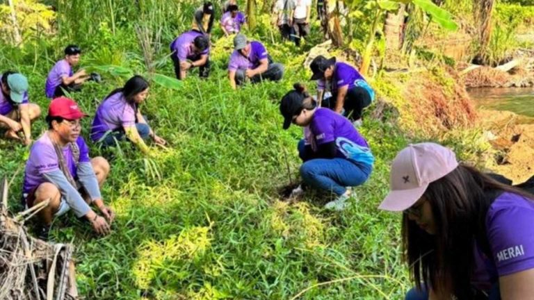 DENR-12 Plants Close To 1.5K Trees For International Day Of Forests