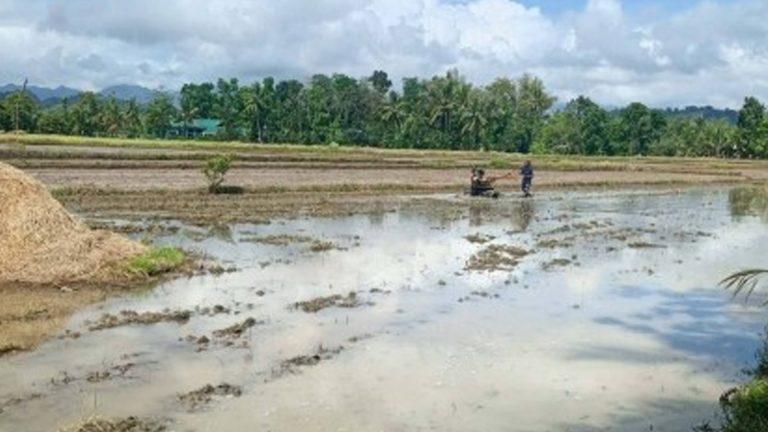 Irrigation Project Enables 3rd Cropping In Iloilo Town