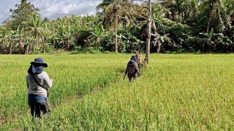Palace Assures Department Of Agriculture, Irrigation Agencies Ready For El Niño