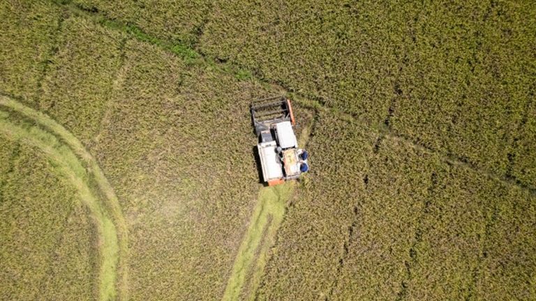 Lawmaker: Make Agriculture Top Priority To Prevent Food Crisis