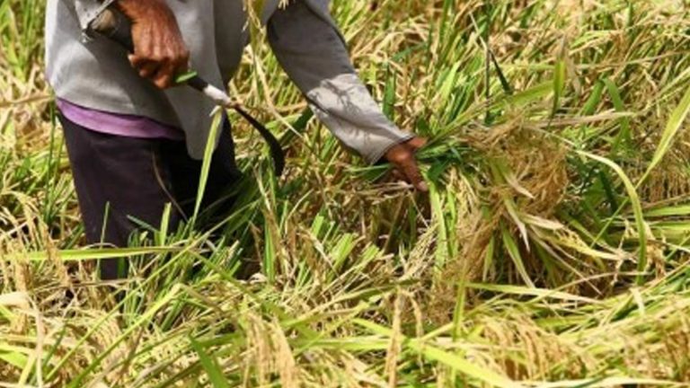 Lawmaker Calls For El Niño Readiness