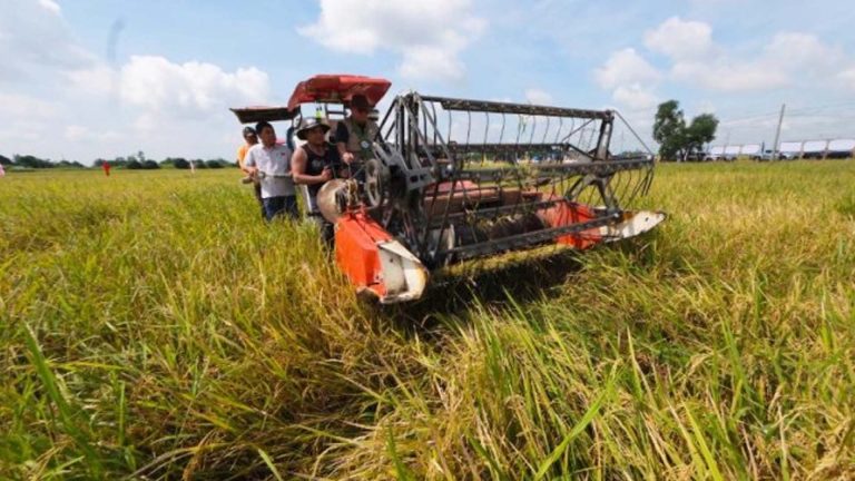 DA Ramps Up Food Security Efforts Amid Fuel Costs, Looming El Niño