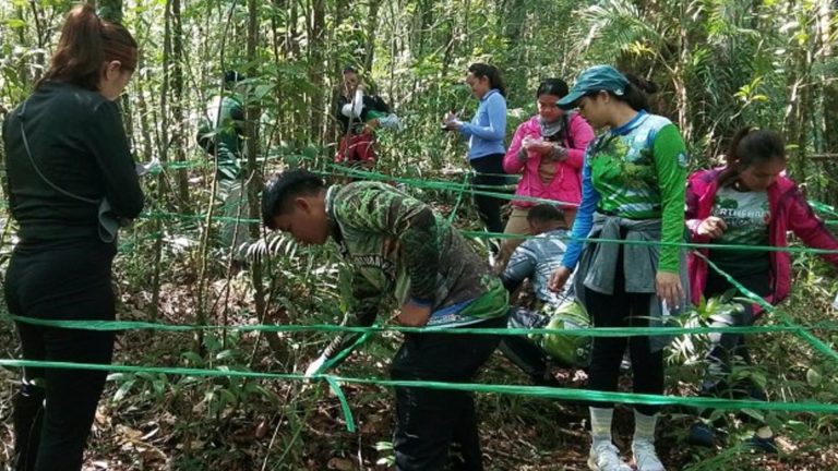 DENR Documents Notable Fauna, Flora In North Negros’ ‘Tinagong Dagat’