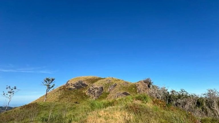 Antique Town Aims To Become Premier LOHAS Destination