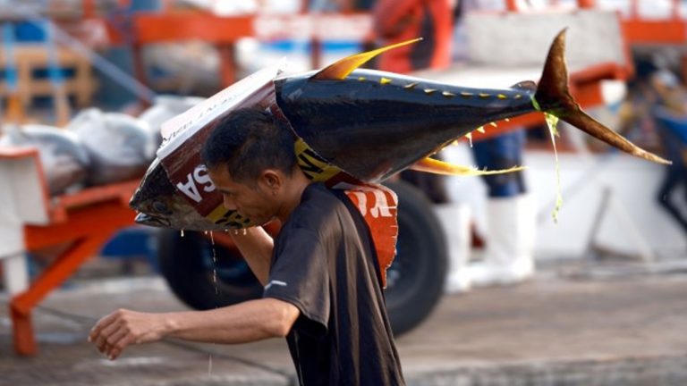 Fish Import Hike Possible To Ensure Stable Supply Amid Oil Shocks