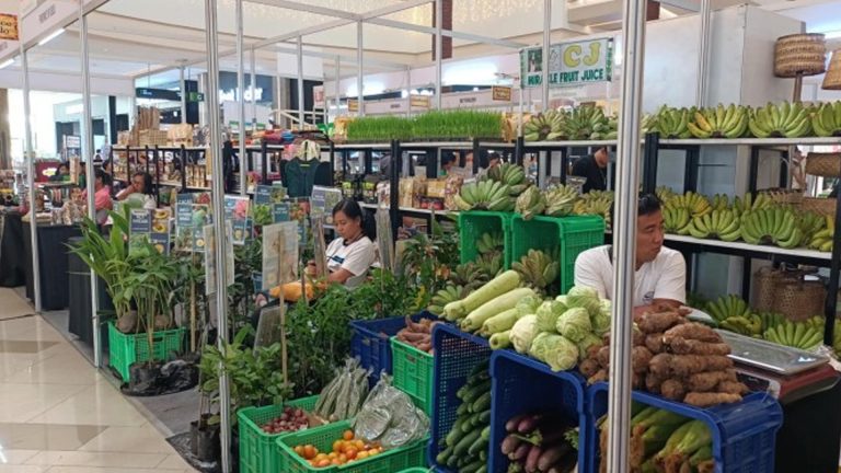 Palace Urges MSMEs To Avail Of Business Loan Program