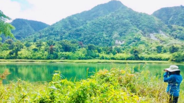 Experts Document Plant Species In Leyte For Philippine Eagle Survival