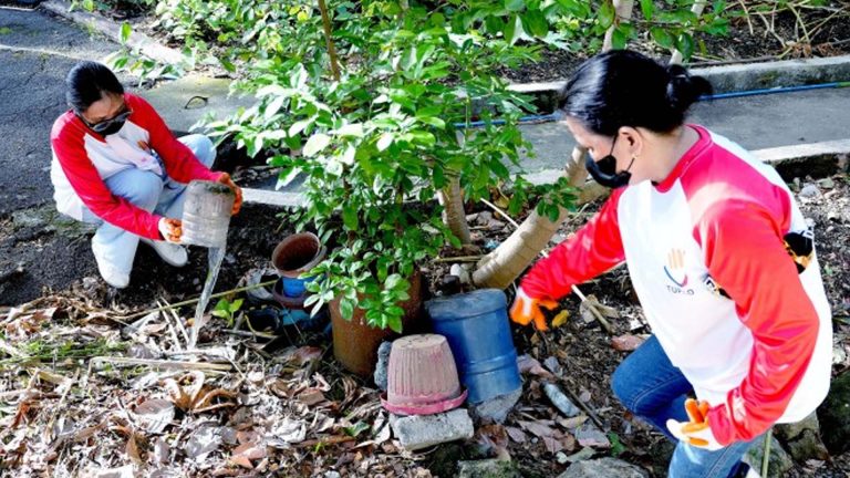 DOLE Assures Senate Better TUPAD Validation, Monitoring