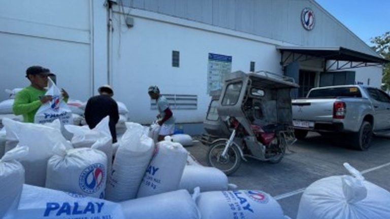 NFA Bicol Updates Palay Buying Prices; Sorsogon Resumes PHP20 BBM Rice