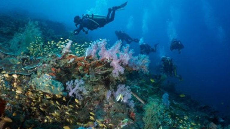 Southern Leyte Encouraged To Strengthen Dive Tourism Promotion