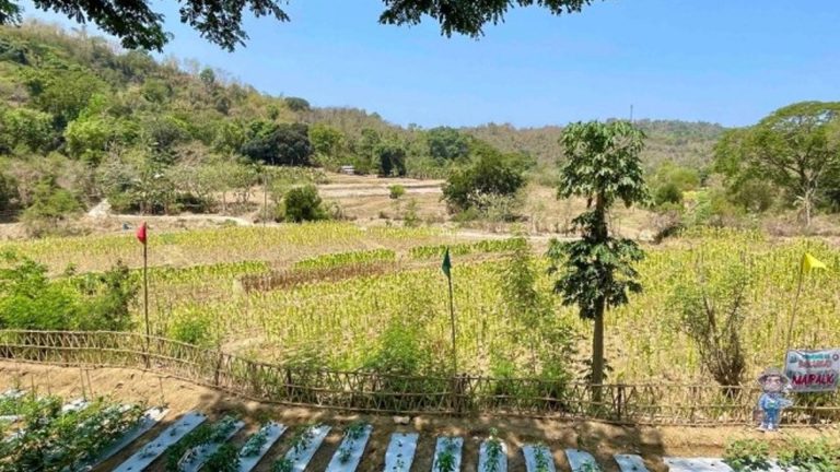 Ilocos Norte Braces For Dry Spell