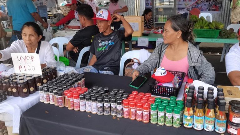 Negros Oriental Biz Chamber Aids MSMEs Secure Government Loan