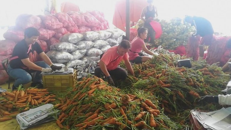 Carrot Importation, Price Cap On Pork Belly, Palm Oil Eyed