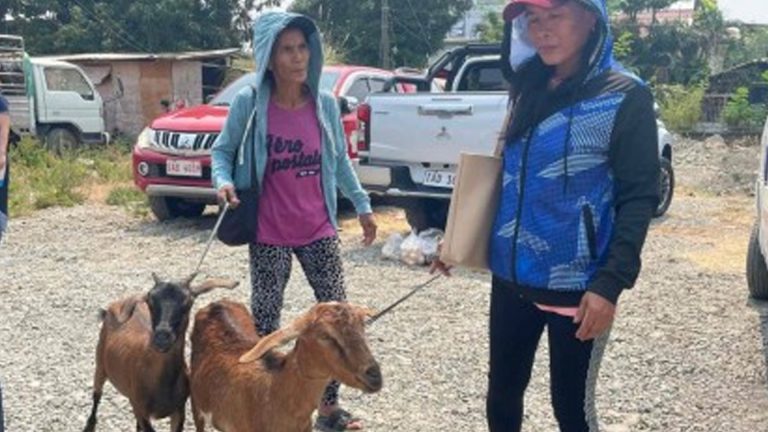 Ilocos Norte Farmers Get Additional Government Aid