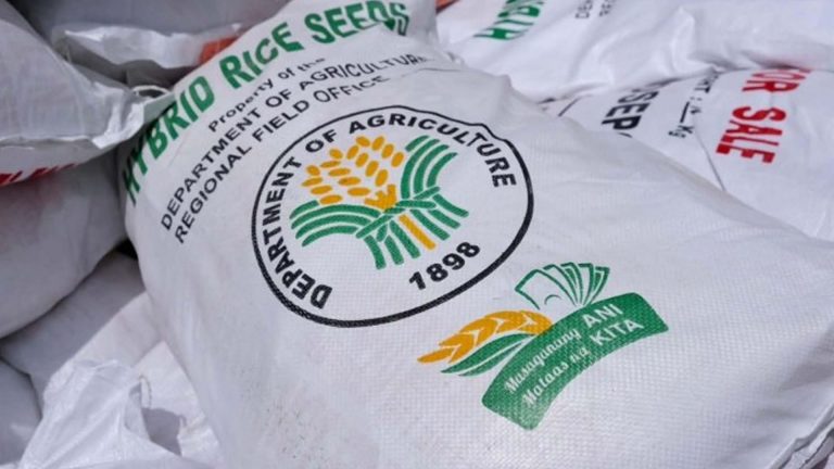 2.2K Davao Del Norte Farmers Get Hybrid Rice Seeds For Wet Season Planting