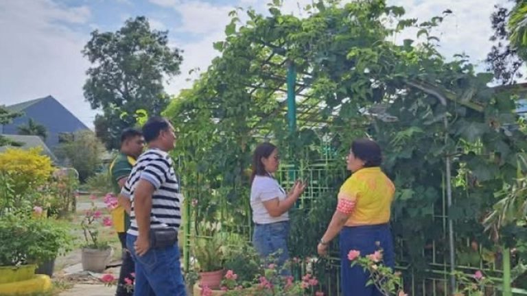 School Gardens Reconnect Ilocos Norte Learners With Traditional Food