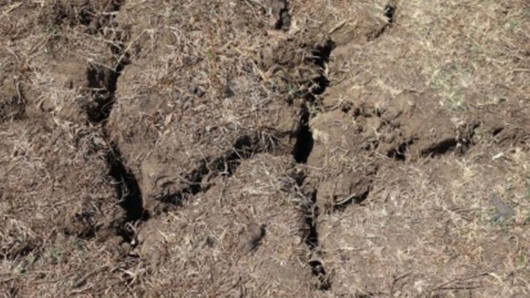 Department Of Agriculture Intensifies El Niño Preps To Minimize Harvest Losses