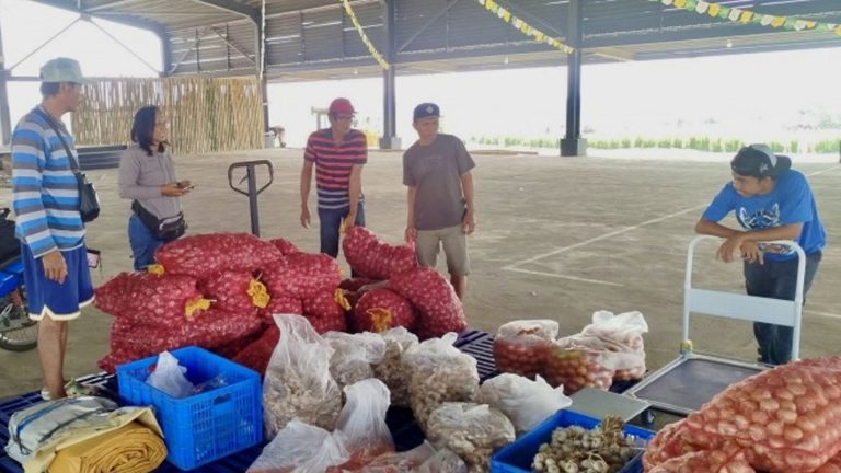 Ilocos Norte Offers Fuel Subsidy, Free Hauling To Bagsakan Traders