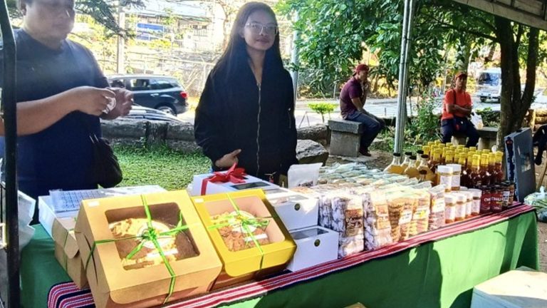 Innovation Summit Seen To Harness Potential Of Baguio MSMEs