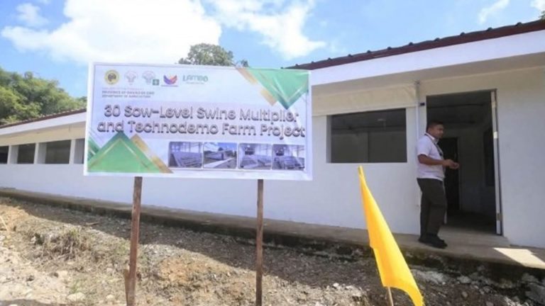 Davao De Oro Gets PHP13 Million Swine Multiplier To Revive Hog Industry From African Swine Fever
