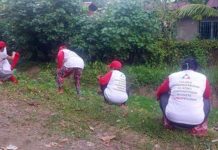 Upgraded DOLE-TUPAD To Turn Beneficiaries Into Entrepreneurs