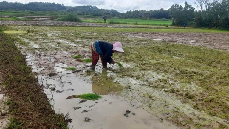House Speaker Dy Urges Proactive El Niño Response To Protect Farmers, Food Security