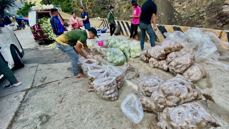 Camp John Hay Opens Rolling Market For Farmers Amid Vegetable Glut