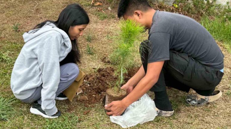 Baguio Couples Required To Plant Love Trees Before They Say ‘I Do’