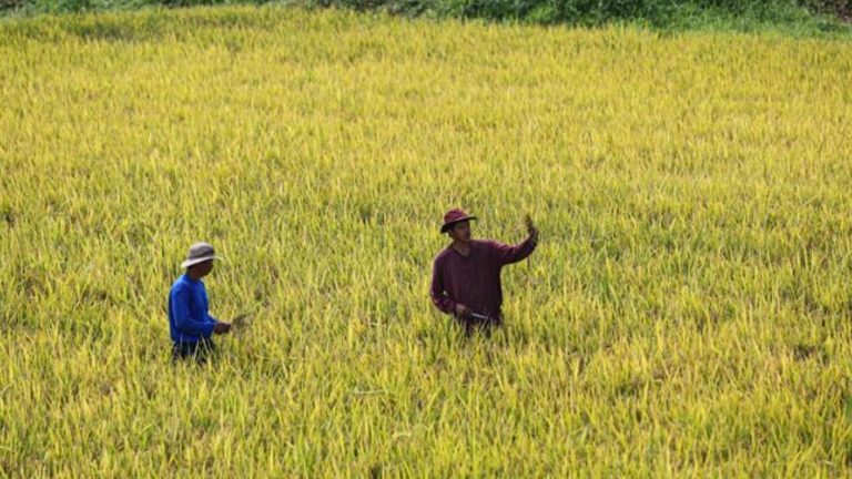 Additional PHP25 Million Fuel Subsidy For Farmers To Be Released Soon