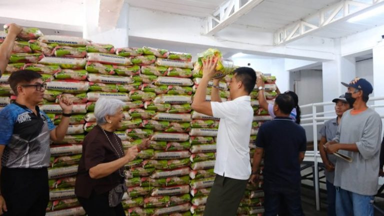 Rice Distribution To Reach More Households In Ilocos Norte