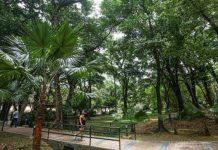 DENR Logs 11K Hectares Of Green Space In National Capital Region