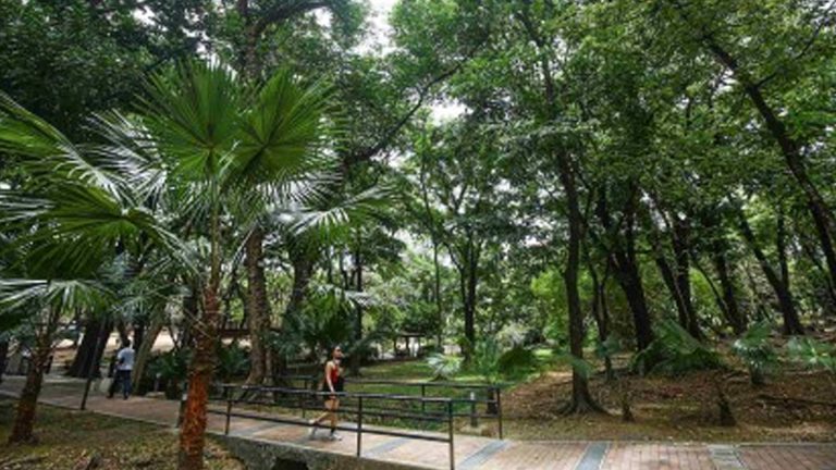 DENR Logs 11K Hectares Of Green Space In National Capital Region