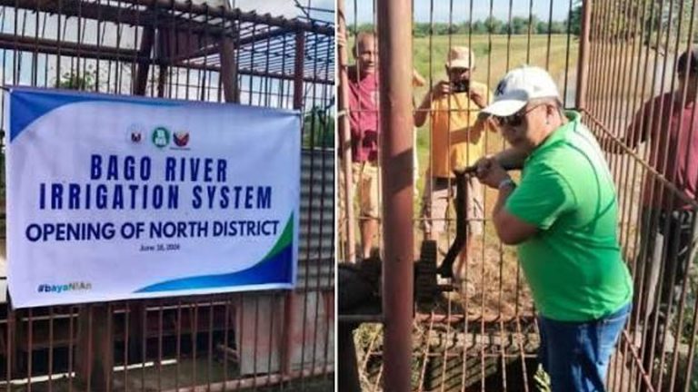 Irrigation Reopens For 6K Hectares Of Rice Farms In Central Negros